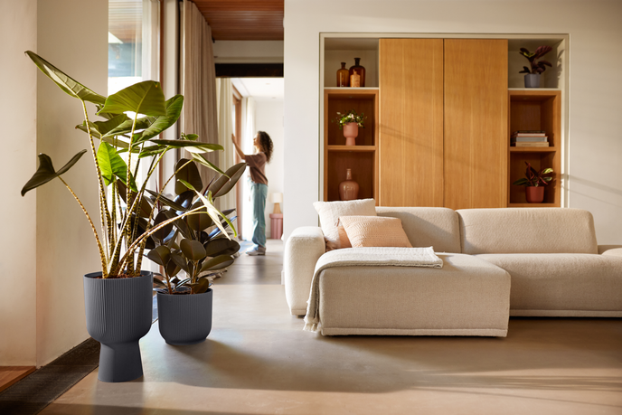 vibes fold coupe 30cm anthracite